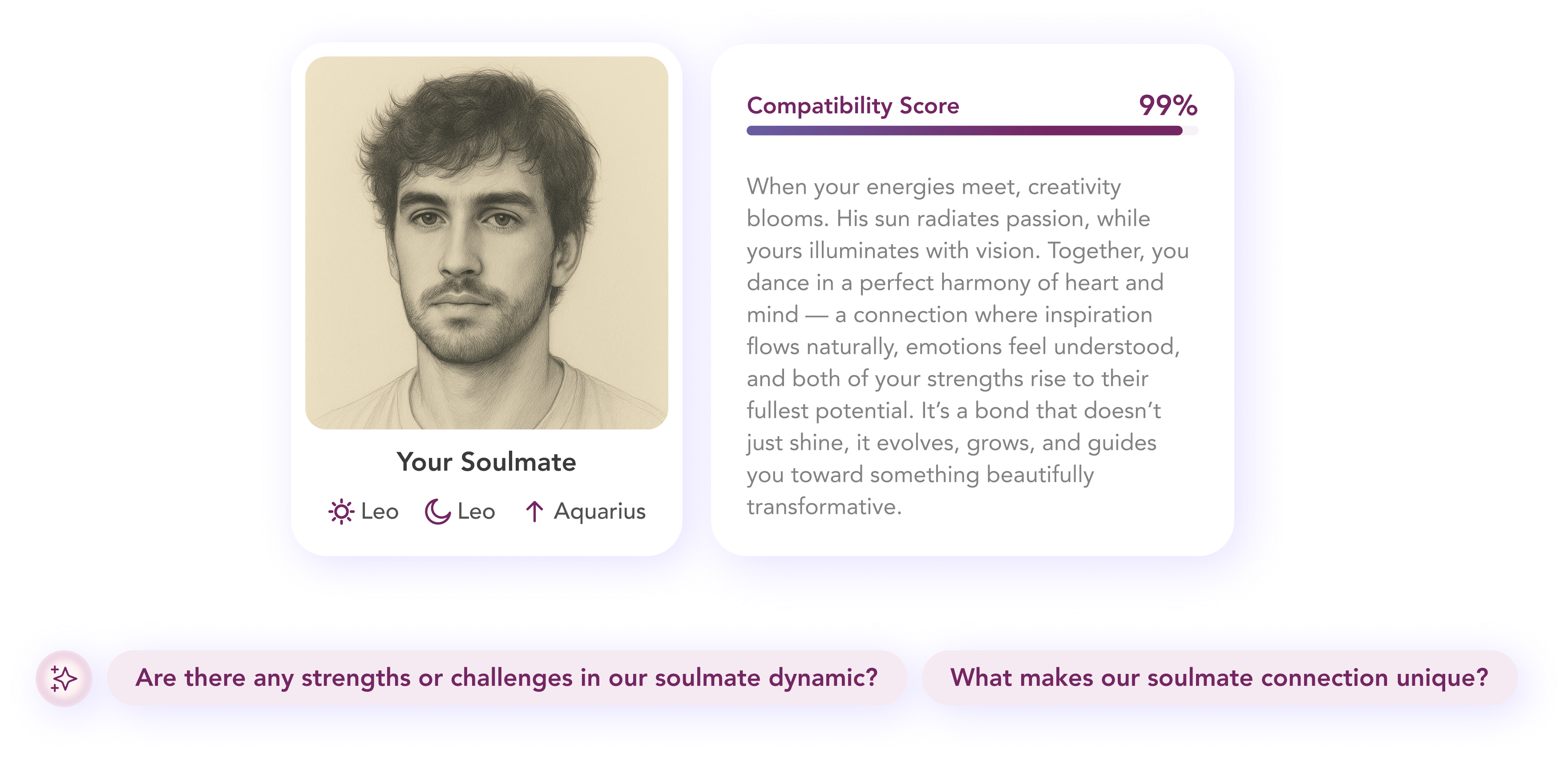 Soulmate Vision Description